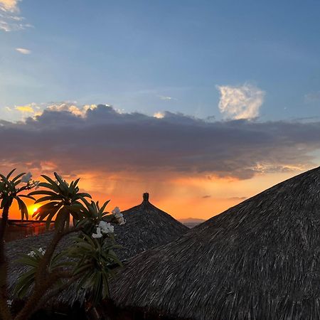 Casa Carmona 33 Hotel Queretaro Ngoại thất bức ảnh