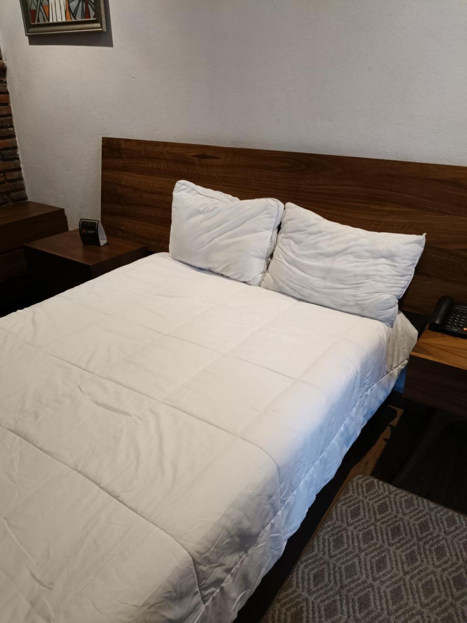 Casa Carmona 33 Hotel Queretaro Ngoại thất bức ảnh
